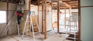 Entreprise de rénovation de la maison et de rénovation d’appartement à Aspin-Aure